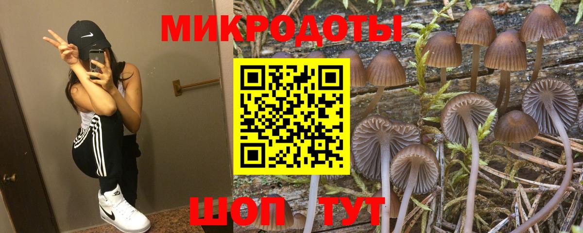 Галлюциногенные грибы GOLDEN TEACHER Ртищево
